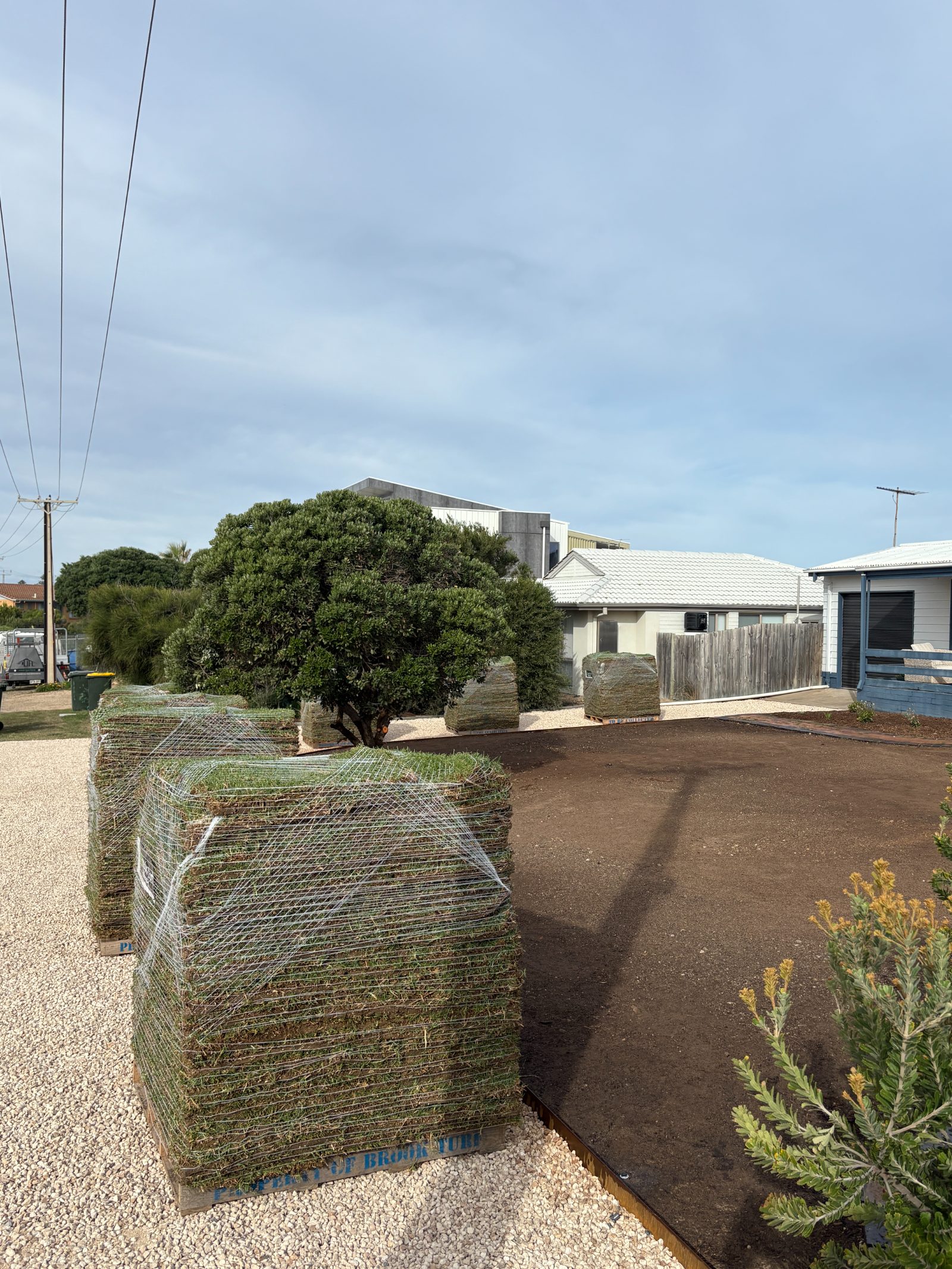 Pallets of turf ready to lay over a prepared soil bed